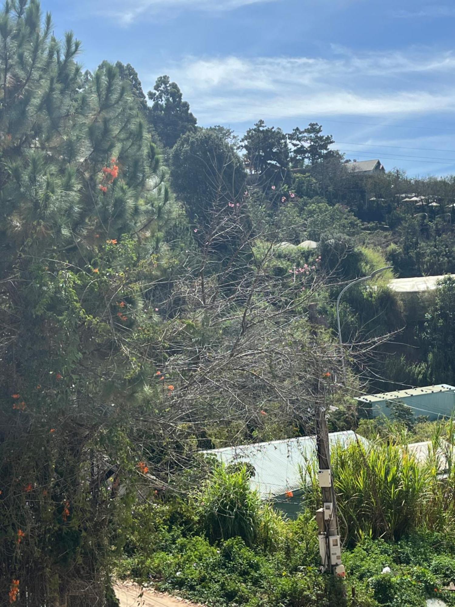 Amia Dalat Hotel Exterior photo